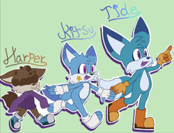 Size: 1717x1309 | Tagged: safe, artist:strawbee-strawberries, oc, oc:harper the fennec, oc:kitsu the fennec, oc:tide the fennec, fox, character name, cute, fankid, fennec, green background, magical gay spawn, male, nonbinary, ocbetes, outline, parent:kit, parent:tails, parents:kittails, pointing, simple background, smile, toeless socks, trio, walking