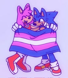Size: 892x1024 | Tagged: safe, artist:mira13mura, amy rose, sonic the hedgehog, 2022, cute, duo, eyes closed, holding something, looking at them, mouth open, one eye closed, pride, pride flag, purple background, simple background, smile, standing, trans female, trans male, trans pride, transgender