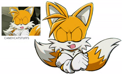 Size: 1923x1206 | Tagged: safe, artist:candycatstuffs, miles "tails" prower, annoyed, arms folded, bust, eyes closed, mouth open, one fang, redraw, reference inset, signature, simple background, solo, sonic x, white background