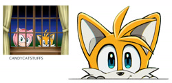 Size: 1983x951 | Tagged: safe, artist:candycatstuffs, miles "tails" prower, alternate version, cute, redraw, reference inset, signature, simple background, smile, solo, sonic x, tailabetes, white background