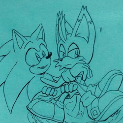 Size: 898x898 | Tagged: safe, artist:meli_nyu_1992, miles "tails" prower, nine, sonic the hedgehog, sonic prime, 2023, blushing, carrying them, duo, frown, gay, lidded eyes, line art, looking at them, looking away, nine x sonic, shipping, simple background, smile, sonic x tails, turquoise background