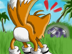 Size: 635x476 | Tagged: safe, artist:hydrocityzone, miles "tails" prower, abstract background, all fours, butt, chaos emerald, clouds, daytime, featureless butt, grass, outdoors, palm tree, raised tail