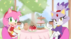 Size: 726x402 | Tagged: safe, artist:moonlightsth, amy rose, blaze the cat, cat, hedgehog, 2023, amy x blaze, amy's halterneck dress, blaze's tailcoat, cake, cupcake, cute, date, female, females only, lesbian, looking at viewer, shipping, tea