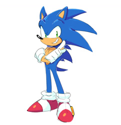 Size: 1421x1465 | Tagged: safe, artist:kiimmyko, sonic the hedgehog, hedgehog, chest fluff, looking at viewer, male, modern sonic, pointing, simple background, smile, solo, standing, white background