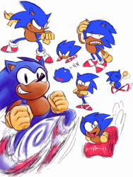 Size: 960x1280 | Tagged: safe, artist:skeletonpendeja, sonic the hedgehog, sonic superstars, animalified, classic sonic, clenched fists, dust clouds, eyelashes, faic, literal animal, looking at viewer, male, running, simple background, smile, solo, spindash, standing, super peel-out, white background, yellow gloves