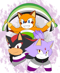 Size: 1509x1842 | Tagged: safe, artist:fire-for-battle, blaze the cat, marine the raccoon, shadow the hedgehog, 2021, ace, aromantic, aromantic pride, asexual pride, bandana, demisexual, demisexual pride, headcanon, holding something, looking at viewer, poncho, pride, pride flag, smile, trio