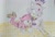 Size: 1280x865 | Tagged: safe, artist:kainic-acid, amy rose, blaze the cat, cat, hedgehog, 2016, amy x blaze, beach, bikini, cute, female, females only, lesbian, lined paper, sandals, shipping, traditional media