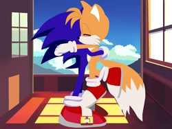 Size: 1600x1200 | Tagged: safe, artist:shouta_tanyu, miles "tails" prower, sonic the hedgehog, 2023, abstract background, duo, eyes closed, gay, hugging, indoors, lifting them, shipping, smile, sonic x tails