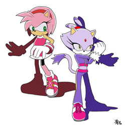 Size: 600x602 | Tagged: safe, artist:uwall, amy rose, blaze the cat, cat, hedgehog, 2009, amy x blaze, cute, female, females only, lesbian, looking at them, mario & sonic at the olympic games, riders style, shipping