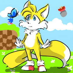 Size: 600x600 | Tagged: safe, artist:glaciacherry, miles "tails" prower, sonic the hedgehog, green hill zone, 2023, abstract background, butterfly, clouds, cute, daytime, duo, flower, literal animal, looking at something, orange brown checkerboard, outdoors, smile, solo focus, standing, tailabetes