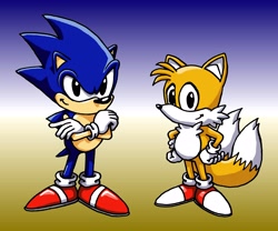Size: 3875x3225 | Tagged: safe, artist:dill-tasker, miles "tails" prower, sonic the hedgehog