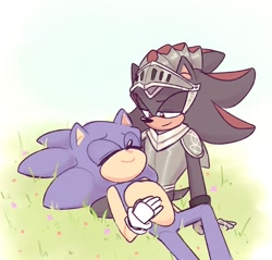 Size: 1032x987 | Tagged: safe, artist:antosnap_, shadow the hedgehog, sonic the hedgehog, 2023, abstract background, duo, eyes closed, flower, gay, grass, lidded eyes, looking at them, lying down, outdoors, shadow x sonic, shipping, sir lancelot, sitting, smile