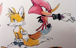 Size: 2048x1297 | Tagged: safe, artist:studioboner, espio the chameleon, miles "tails" prower, 2023, blue shoes, duo, frown, holding something, looking offscreen, ninja star, smile, standing, traditional media