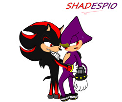 Size: 715x600 | Tagged: safe, artist:neosthehedgehot, espio the chameleon, shadow the hedgehog, 2009, blushing, frown, gay, holding them, lidded eyes, looking at them, looking away, shadpio, ship name, shipping, simple background, smile, standing, sweatdrop, white background