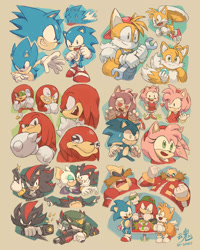 Size: 1024x1281 | Tagged: safe, artist:ry-spirit, amy rose, knuckles the echidna, miles "tails" prower, robotnik, rouge the bat, shadow the hedgehog, sonic the hedgehog