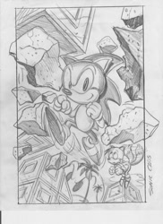 Size: 745x1024 | Tagged: safe, artist:greg martin, miles "tails" prower, robotnik, sonic the hedgehog, classic robotnik, classic sonic, classic tails, official artwork, palm tree, sketch, sonic chaos, trio