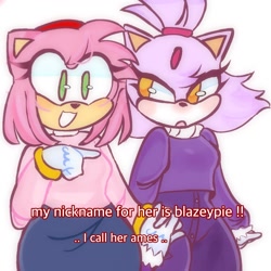 Size: 1378x1378 | Tagged: safe, artist:octogirlyuri, amy rose, blaze the cat, cat, hedgehog, 2022, amy x blaze, cute, english text, female, females only, holding hands, lesbian, looking at them, shipping
