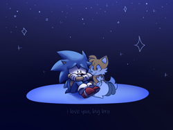 Size: 1600x1200 | Tagged: safe, artist:0vergrowngraveyard, miles "tails" prower, sonic the hedgehog, abstract background, crying, dialogue, duo, english text, floppy ears, ghost, implied death, sad, sitting, smile, sonic the hedgehog 2 (8bit), sparkles, star (symbol), tears, tears of sadness, tradgedy