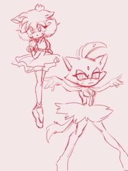 Size: 1534x2048 | Tagged: safe, artist:mochapee_slay, amy rose, blaze the cat, cat, hedgehog, 2023, amy x blaze, ballerina, cute, female, females only, lesbian, looking at viewer, shipping, sketch