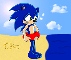 Size: 750x629 | Tagged: safe, artist:tails-luver-2085, sonic the hedgehog, beach, ocean, swimming tube