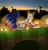Size: 1119x1169 | Tagged: safe, artist:tailsfann1992, miles "tails" prower, sonic the hedgehog, fox, hedgehog, green hill zone, 2023, abstract background, blanket, blushing, candle, cookie, date, duo, food, gay, holding something, looking at each other, loop, male, outdoors, palm tree, picnic, shipping, sitting, sonic x tails, sontails week, sunset