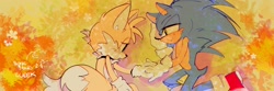 Size: 1500x500 | Tagged: safe, artist:0seup_666, miles "tails" prower, sonic the hedgehog, 2023, abstract background, autumn, blushing, duo, gay, holding hands, lidded eyes, outdoors, shipping, signature, sonic x tails