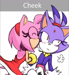 Size: 1577x1710 | Tagged: safe, artist:coldspace, amy rose, blaze the cat, cat, hedgehog, 2023, amy x blaze, amy's halterneck dress, blaze's tailcoat, blushing, cute, eyes closed, female, females only, kiss on cheek, lesbian, shipping