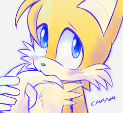 Size: 1095x1009 | Tagged: safe, artist:tailchana, miles "tails" prower, biting, blushing, cute, grey background, holding tail, looking at viewer, looking up, signature, simple background, solo, tailabetes