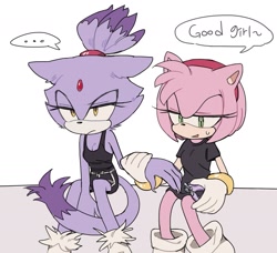 Size: 1677x1527 | Tagged: safe, artist:roastedgarlics2, amy rose, blaze the cat, cat, hedgehog, ..., 2023, amy x blaze, claws, cute, english text, female, females only, lesbian, shipping, sweatdrop