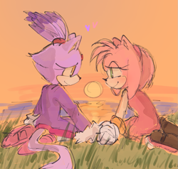 Size: 829x790 | Tagged: safe, artist:pholooo, amy rose, blaze the cat, cat, hedgehog, 2023, amy x blaze, amy's halterneck dress, blaze's tailcoat, cute, female, females only, hearts, holding hands, lesbian, looking at each other, shipping, sunset