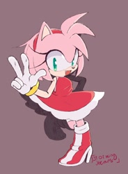 Size: 926x1258 | Tagged: safe, artist:storminghearts, amy rose