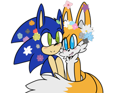 Size: 1600x1200 | Tagged: safe, artist:turtlesseashells, miles "tails" prower, sonic the hedgehog, 31 days sonic, 2019, blushing, cute, duo, flower, gay, shipping, simple background, smile, sonic x tails, transparent background