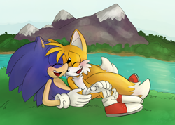 Size: 1070x763 | Tagged: safe, artist:devotedsidekick, miles "tails" prower, sonic the hedgehog, abstract background, blushing, duo, eyes closed, forest, gay, grass, holding each other, lake, mountain, mouth open, outdoors, shipping, sitting, smile, sonic x tails, water