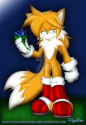 Size: 900x1297 | Tagged: safe, artist:silveralchemist09, miles "tails" prower, 2011, abstract background, aged up, boots, deviantart watermark, flower, frown, grass, holding something, looking offscreen, older, outdoors, signature, standing, watermark