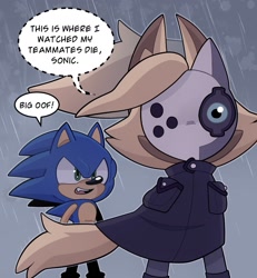 Size: 1453x1572 | Tagged: safe, artist:cawfeejelly, sonic the hedgehog, whisper the wolf, big oof, dialogue, diamond cutters mask, diamond cutters outfit, english text, mask, meme, rain