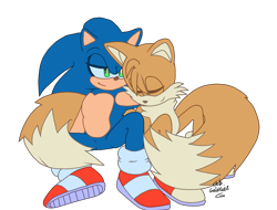 Size: 2048x1556 | Tagged: safe, artist:chibigalaxies, miles "tails" prower, sonic the hedgehog, duo, eyes closed, gay, lidded eyes, looking at them, shipping, signature, simple background, sitting, sleeping, smile, sonic x tails, transparent background, wrapped in tail
