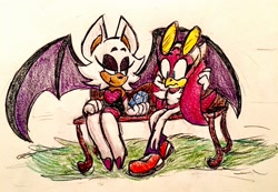 Size: 2592x1789 | Tagged: safe, artist:chazum, rouge the bat, wave the swallow, 2017, bench, chaos emerald, duo, frown, grass, holding something, lesbian, lidded eyes, looking at something, looking at them, outdoors, shipping, sitting, smile, traditional media, wavouge