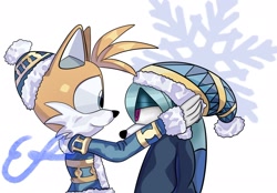 Size: 2048x1423 | Tagged: safe, artist:lizislife, kit the fennec, miles "tails" prower, abstract background, duo, gay, hat, kitails, lidded eyes, looking at each other, shipping, signature, smile, snowflake, standing, winter, winter outfit