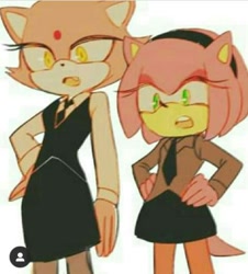 Size: 612x678 | Tagged: safe, artist:amy.the.hedgehog.2, amy rose, blaze the cat, cat, hedgehog, 2021, amy x blaze, cute, female, females only, lesbian, looking at them, shipping