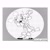 Size: 1080x1080 | Tagged: safe, artist:idolnya, amy rose, blaze the cat, cat, hedgehog, 2020, amy x blaze, amy's halterneck dress, blaze's tailcoat, blushing, carrying them, clothes, cute, dress, female, females only, lesbian, mouth open, shipping, sketch
