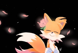 Size: 737x500 | Tagged: safe, artist:giaoux, miles "tails" prower, 2023, black background, blushing, cute, eyes closed, flower, flower in ear, lily (flower), petals, signature, simple background, smile, solo, standing, tailabetes