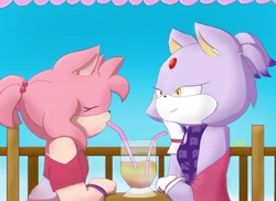 Size: 1080x785 | Tagged: safe, artist:miscelluneous, amy rose, blaze the cat, cat, hedgehog, 2023, amy x blaze, cute, date, drinking, eyes closed, female, females only, lesbian, looking at them, shipping, straw