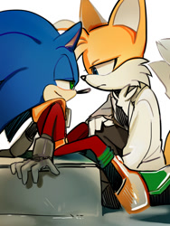 Size: 480x640 | Tagged: safe, artist:lujji, miles "tails" prower, zonic the zone cop, 2013, drown, duo, gay, lidded eyes, looking at each other, shipping, simple background, sitting, smile, white background, zails, zontails