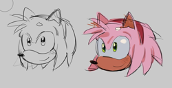 Size: 1011x516 | Tagged: safe, artist:fiberc, amy rose, grey background, head only, line art, looking offscreen, simple background, sketch, smile, solo