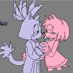Size: 1080x1080 | Tagged: safe, artist:gikiki_wu, amy rose, blaze the cat, cat, hedgehog, 2023, amy x blaze, amy's halterneck dress, blaze's tailcoat, cute, female, females only, holding hands, lesbian, looking at each other, shipping