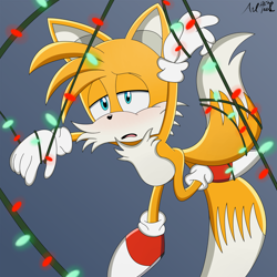 Size: 1500x1500 | Tagged: safe, artist:andtails1, miles "tails" prower, 2023, blushing, christmas lights, frown, gradient background, lidded eyes, mouth open, signature, solo, sonic x style, stuck, tangled up