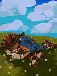 Size: 1536x2048 | Tagged: safe, artist:youhalfwit, shadow the hedgehog, sonic the hedgehog, abstract background, blushing, clouds, cute, daytime, duo, flower, gay, grass, lying down, outdoors, outline, redraw, shadow x sonic, shipping, sleeping, smile