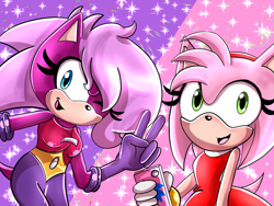 Size: 1024x768 | Tagged: safe, artist:animepianistgirl, amy rose, sonia the hedgehog
