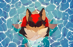 Size: 2394x1539 | Tagged: safe, artist:lanzo123, shadow the hedgehog, eyes closed, floating, swimming, water