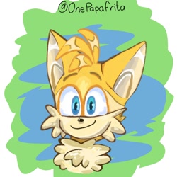 Size: 1378x1378 | Tagged: safe, artist:onepapafrita, miles "tails" prower, 2023, abstract background, bust, chest fluff, looking ahead, signature, smile, solo